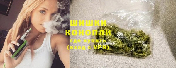 мдпв Пересвет