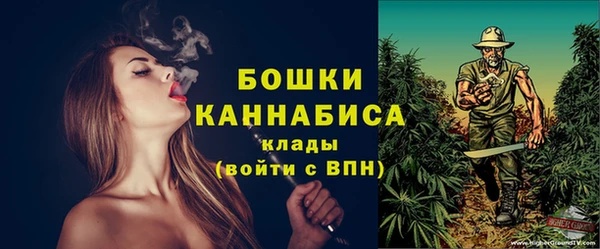 мдпв Пересвет