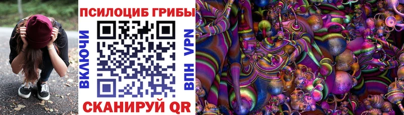 даркнет состав  Дубна  Галлюциногенные грибы мицелий 